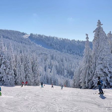 شقة Panorama Bayerwald نويغايشيناو المظهر الخارجي الصورة