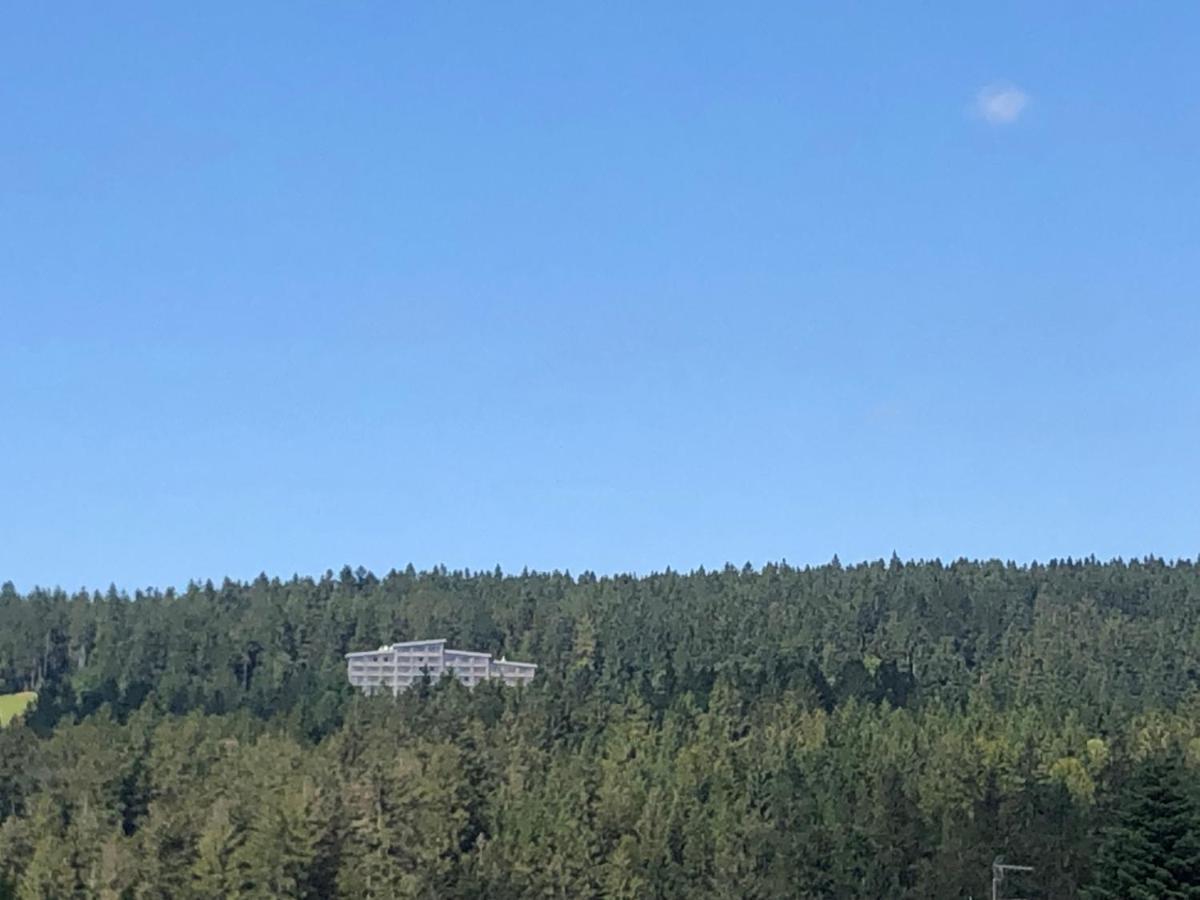 شقة Panorama Bayerwald نويغايشيناو المظهر الخارجي الصورة