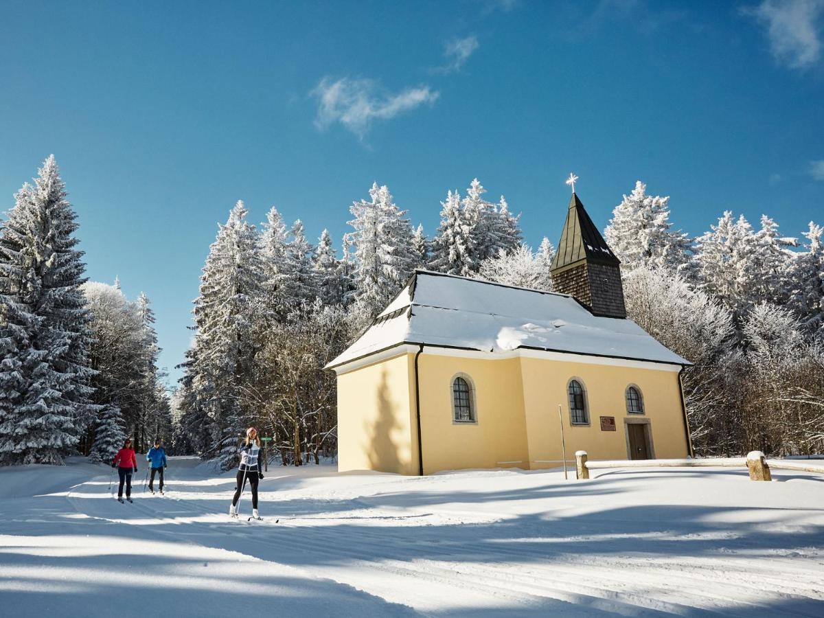 شقة Panorama Bayerwald نويغايشيناو المظهر الخارجي الصورة